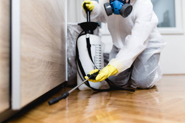 Best Mosquito Control Services  in Huntington, WV
