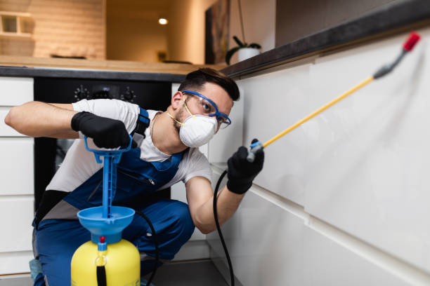 Best Cockroach Control Services  in Huntington, WV