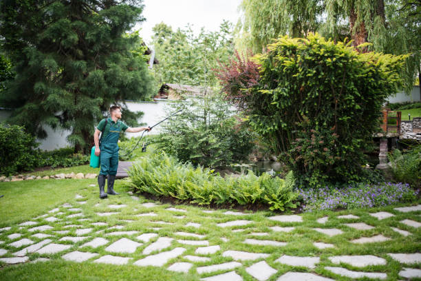 Pest Control Cost in Huntington, WV