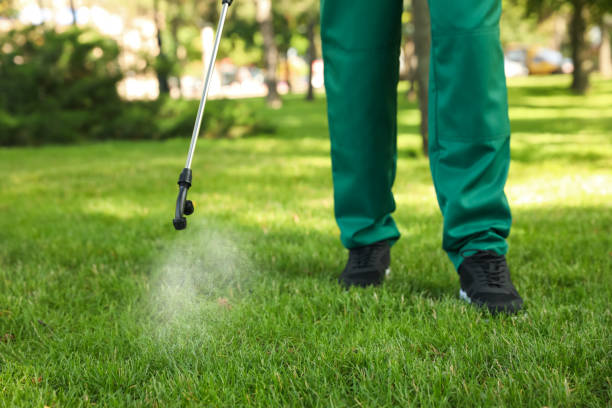 Insect Control in Huntington, WV