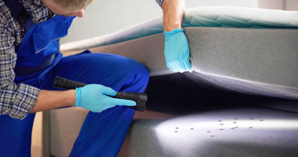 Best Bed Bug Extermination  in Huntington, WV