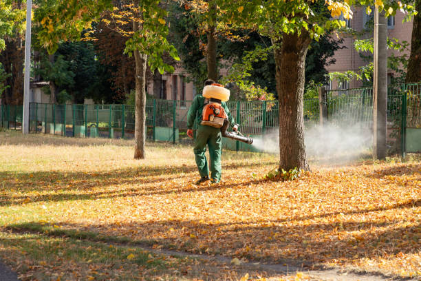 Best Exterminator Services  in Huntington, WV