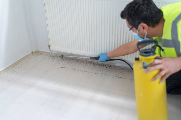 Best Commercial Pest Control Services  in Huntington, WV