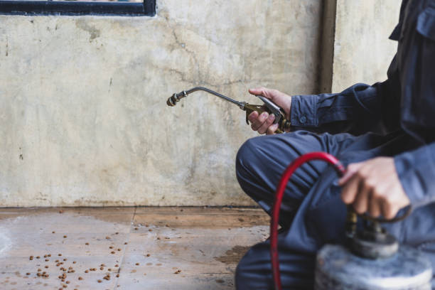 Best Pest Control Near Me  in Huntington, WV