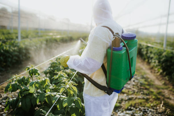 Best Affordable Pest Control Services  in Huntington, WV